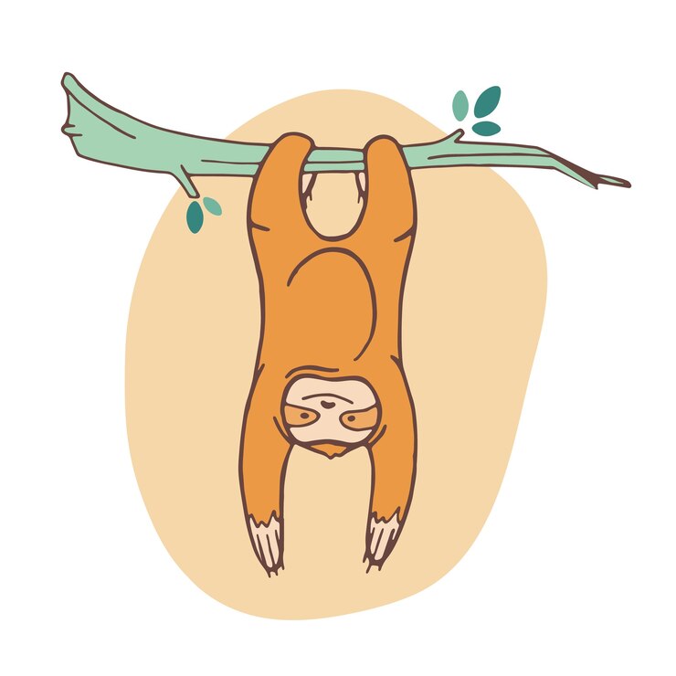 Vector adorable sloth clinging to branch and hanging.