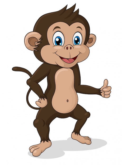 Vector adorable standing monkey with thumb up