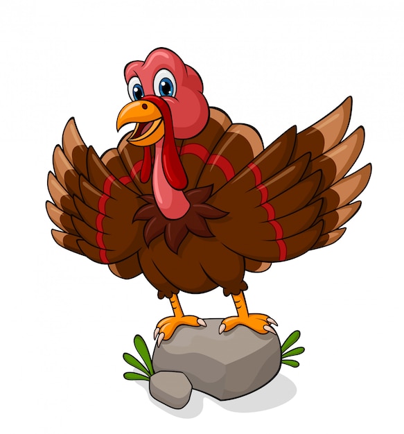 Vector adorable turkey cartoon