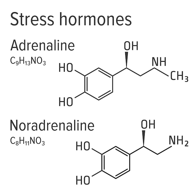 Векторные химические формулы гормонов стресса адреналина и норадреналина
