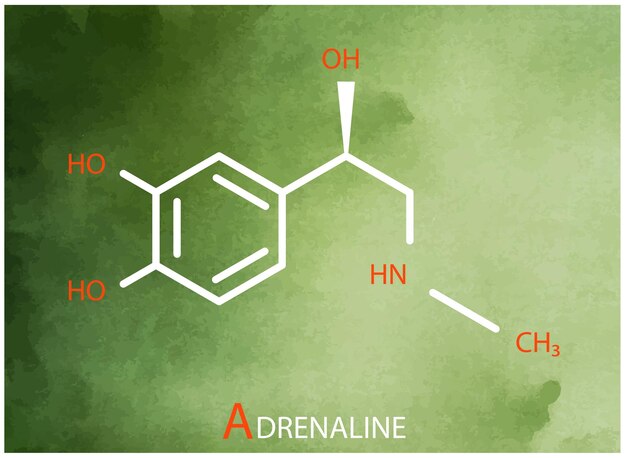 Formula dell'adrenalina vettore icona di linea sottile della struttura molecolare dell'adrinalina