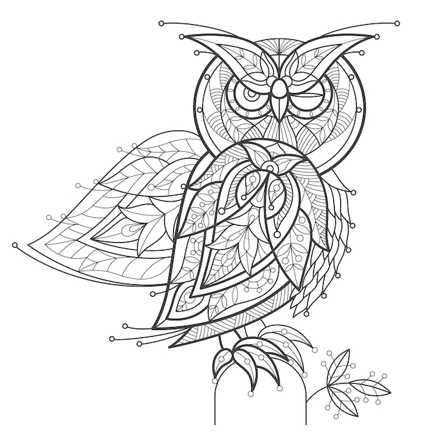 Adult coloring. bird owl.