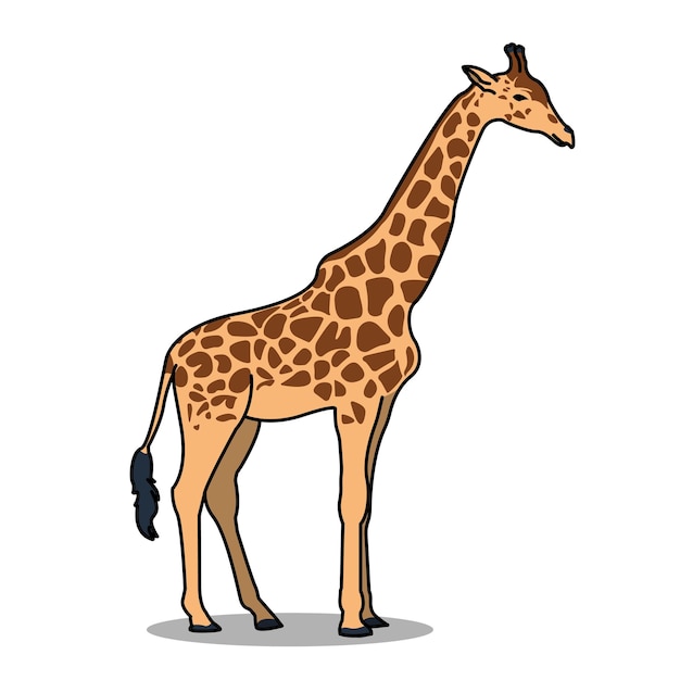 Adult giraffe animal illustration design