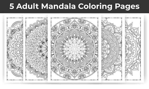 Mandala da colorare per adulti bundle kdp interni. pacchetto di pagine da colorare mandala. pagina da colorare per adulti.