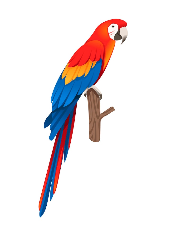 Adult parrot of red-and-green macaw Ara sitting on a branch (Ara chloropterus) cartoon bird design flat vector illustration isolated on white background.