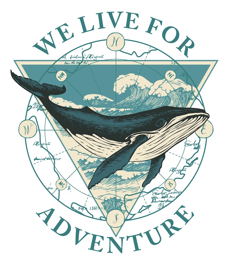 Vector adventure banner with whale