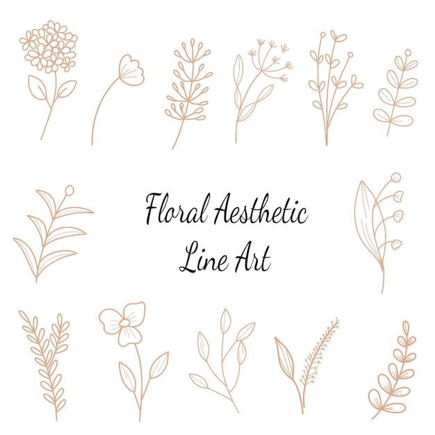 Aesthetic Botanical Line Art