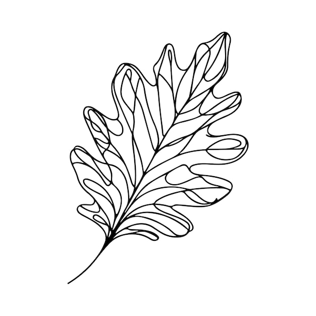 aesthetic decorative line art illustration of leaf floral