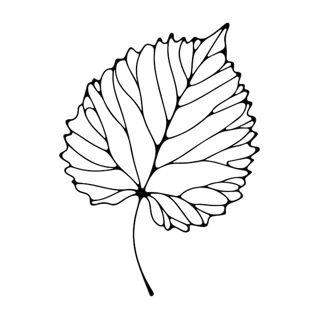 Vector aesthetic decorative line art illustration of leaf floral