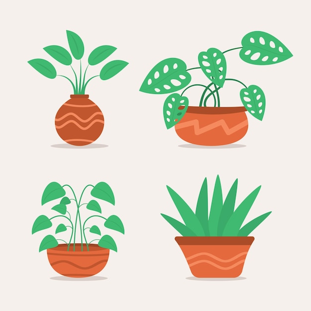 Aesthetic houseplant set illustration