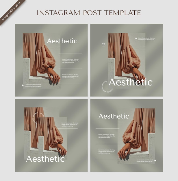 Vettore modello di feed instagram estetico