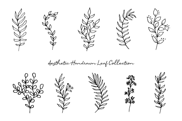 Vector aesthetic leaf line drawing collection