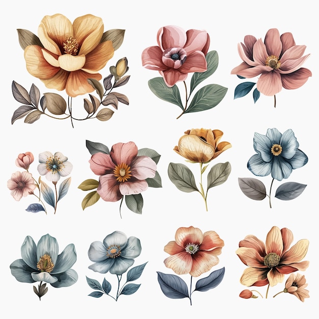 Vector aesthetic vintage flower watercolor