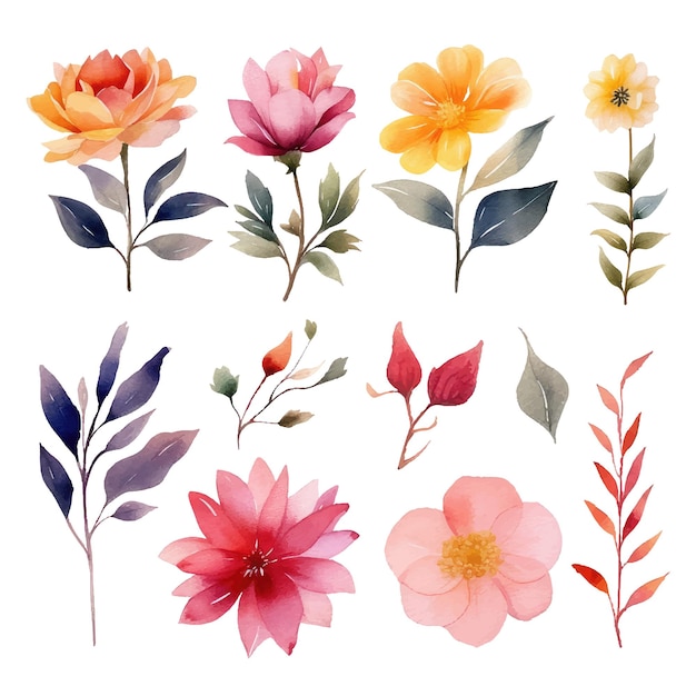 Vector aesthetic watercolor flower clipart perfect for wedding card element