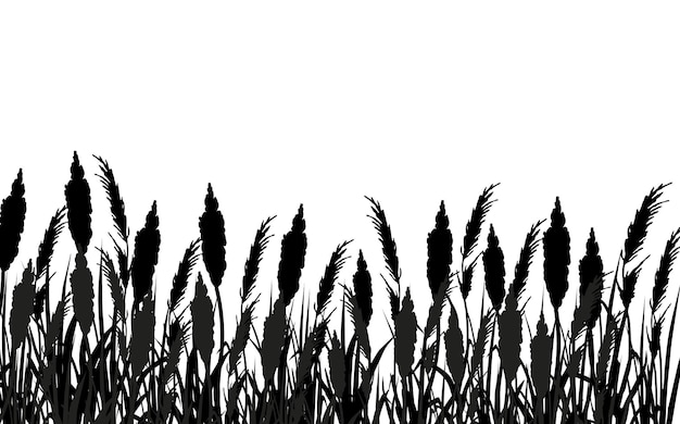 Vector afbeelding van een monochroom rietgras of bulrush op een witte achtergrond isoleerde vectortekening