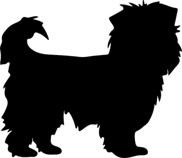 Vector affenpinscher black silhouette with transparent background