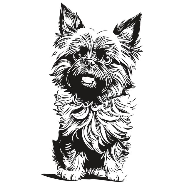 Vector affenpinscher hond gezicht vector portret grappig overzicht huisdier illustratie witte achtergrond realistisch ras huisdier
