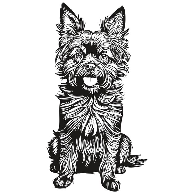 Vector affenpinscher hond hand getekend logo tekening zwart-wit lijn kunst huisdieren illustratie schets tekening