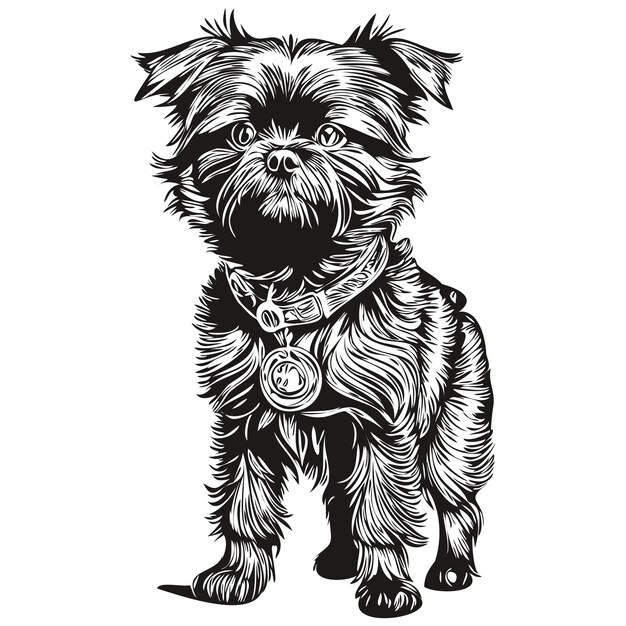 Vector affenpinscher hond vector graphics hand getrokken potlood dierlijke lijn illustratie schets tekening