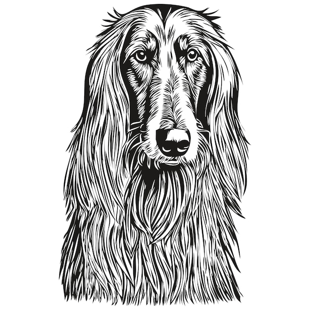 Afghan Hound dog t shirt print black and white cute funny outline drawing vector sketch drawing