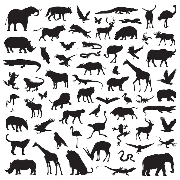 Vector アフリカサファリ動物野生のライフシルエットクリップアート