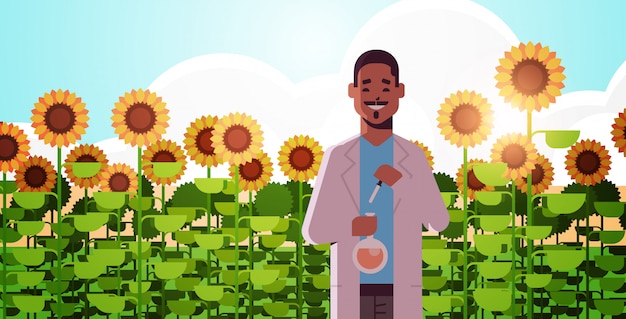 African american man scientist holding test tube making experiment on sunflowers field research science agriculture farming concept flat horizontal portrait