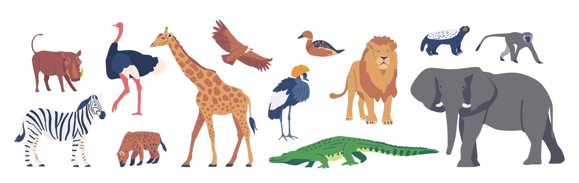 Safari bird Vectors & Illustrations for Free Download | Freepik