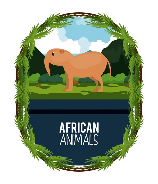 Vector african animals cartoon