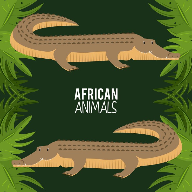 Vector african animals cartoon