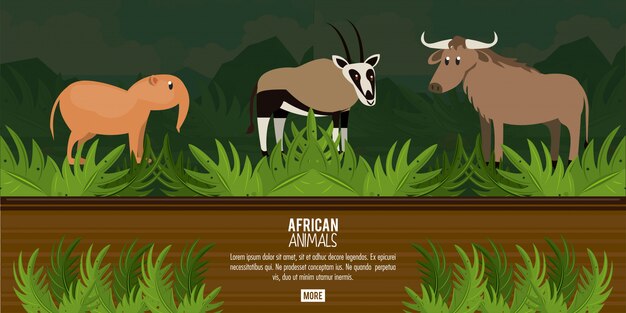 Vector african animals concept