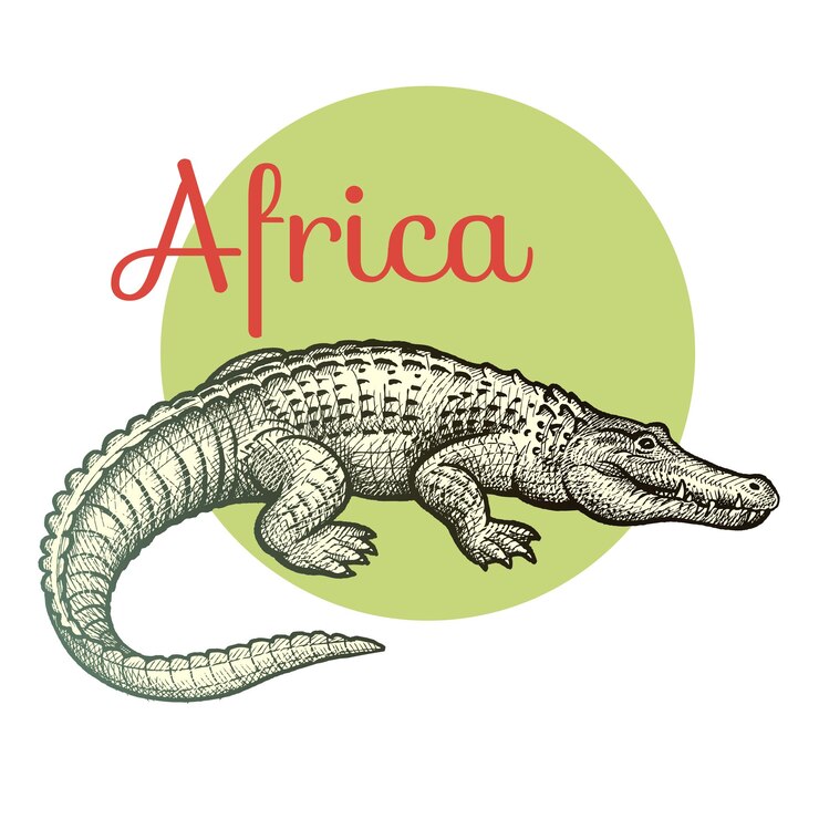 Vector african animals crocodile