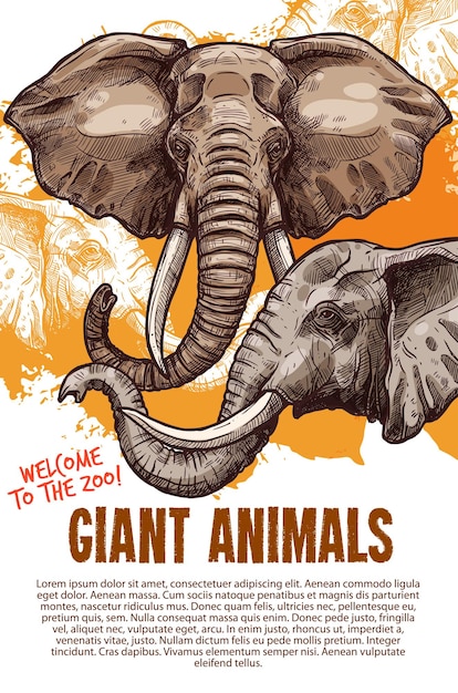 african animals elephants zoo vector poster