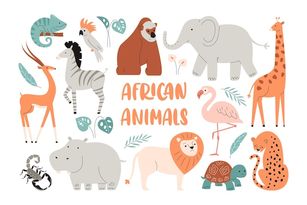 African Animals Set