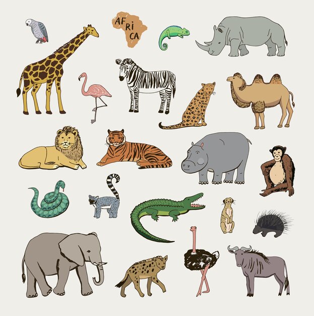 Vector african animals vector illustrations set