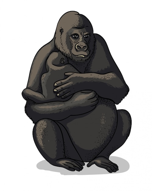 Vector african female gorilla with baby-gorilla sitting isolated in cartoon style.