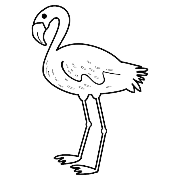 African flamingo hand drawn