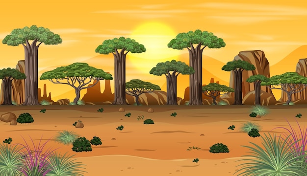 african forest landscape