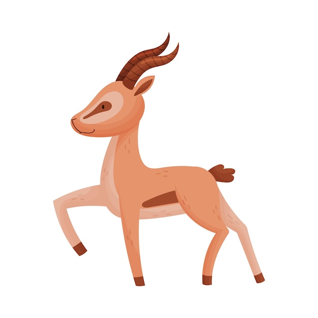 Vector african gazelle in standing pose stylized drawing vector illustration standing animal front view