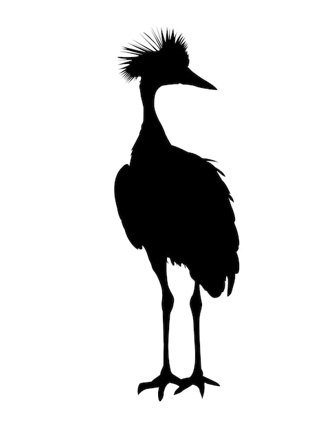 African Grey Crowned Crane Silhouette Grace in Shadows