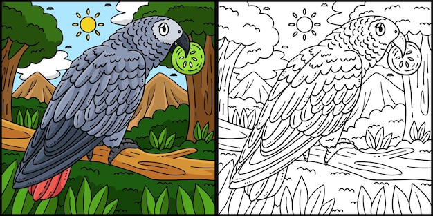 african grey parrot bird coloring illustration