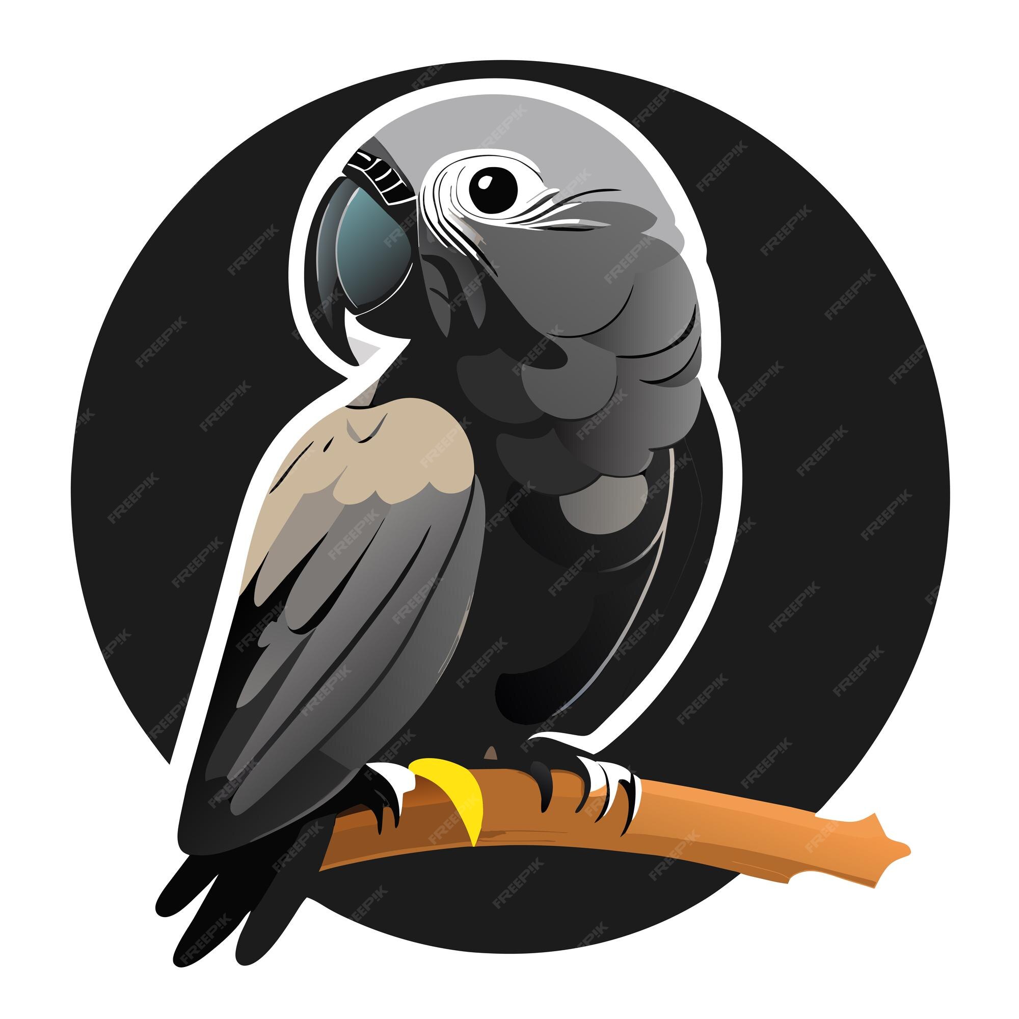 Premium Vector | African grey parrot sticker illustration
