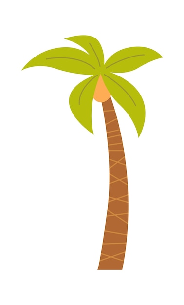 African palm tree Vector illustration