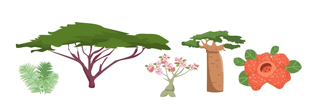 아프리카 식물과 식물 요소 세트 이국적인 나무 바오밥 아카시아 꽃과 아프리카의 덤불