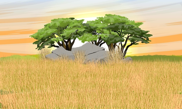 ベクトル アフリカのサバンナ背の高い乾いた草と地平線上の木々や石のグループ