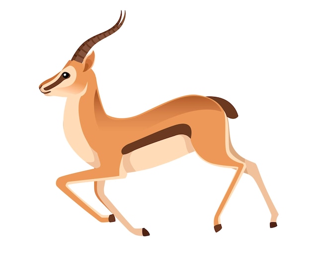 Vector african wild black-tailed gazelle with long horns running cartoon animal illustration