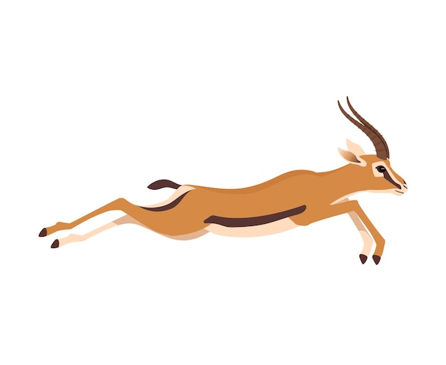 Vector african wild gazelle running