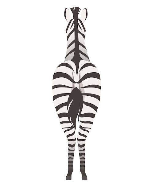 アフリカのシマウマの背面図漫画動物デザインフラットベクトルイラスト白い背景で隔離。