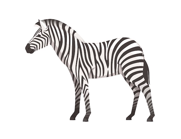 アフリカのシマウマの側面図漫画動物デザインフラットベクトルイラスト白い背景で隔離。