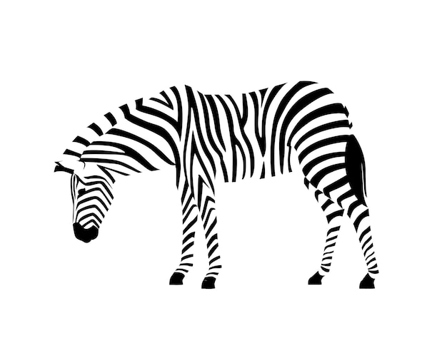 Zebra africana vista laterale contorno silhouette a strisce design animale piatto illustrazione vettoriale