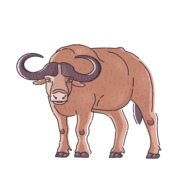 Afrikaanse buffalo illustratie